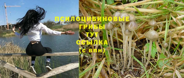 не бодяженный Абинск