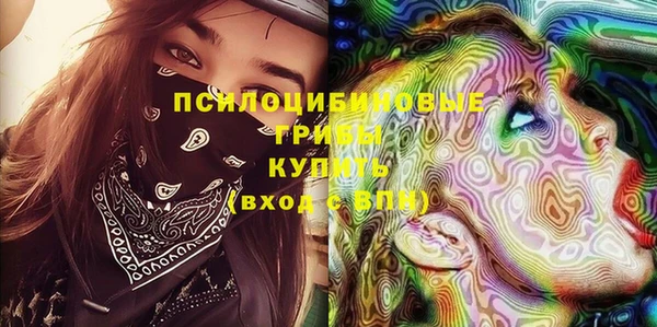 мет Новозыбков