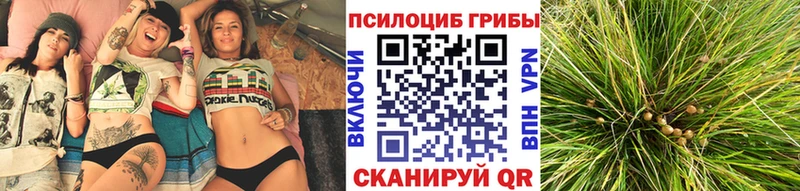 Псилоцибиновые грибы ЛСД  Алдан 